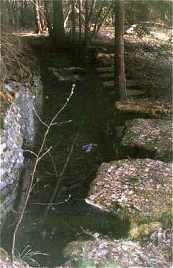 Position to eight riflemen,  XXVIII:19 (1984)