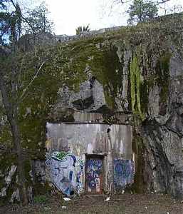 VIII:6