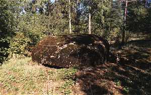 XXXVI:1
