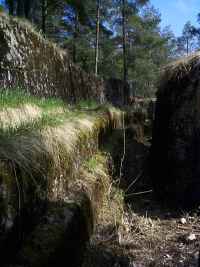 Firing trench, II:8 (1999)