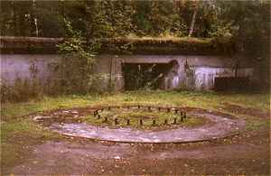 Tykinperusta Vuo 152